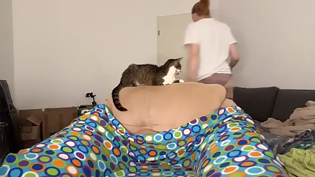 Caliiie-of online show from September 13, 2:25 pm