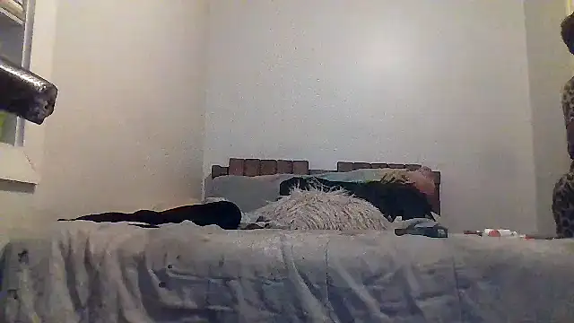 AllLeggs online show from March 20, 3:33 am