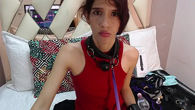 Hunter Ignis online show from December 20, 11:09 pm