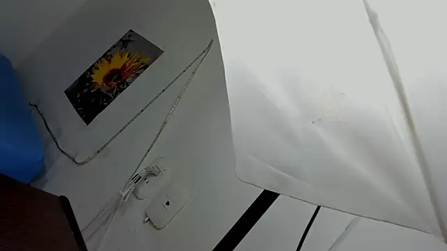 Ladysexy hot19 online show from November 3, 3:10 am