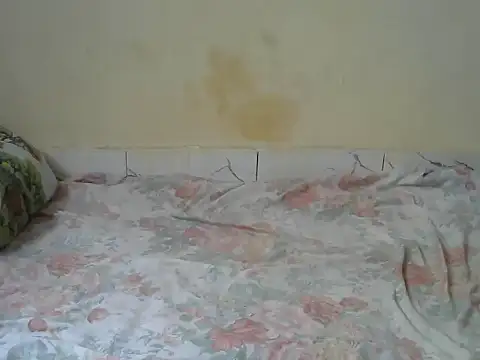 Zenath  online show from February 27, 8:58 am