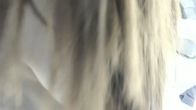 celestica rose online show from February 2, 10:31 pm