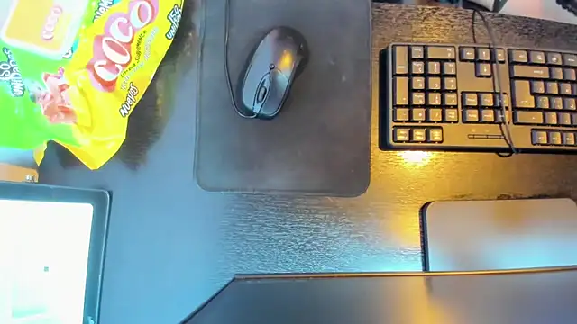 Saylor Lee22 online show from February 17, 3:17 am