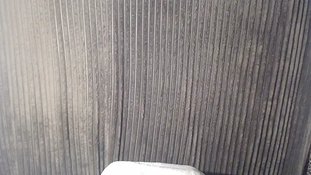 1BECHA1 online show from November 30, 1:54 am