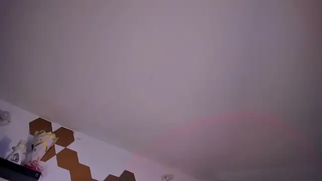 evy orange1 online show from February 3, 6:22 am