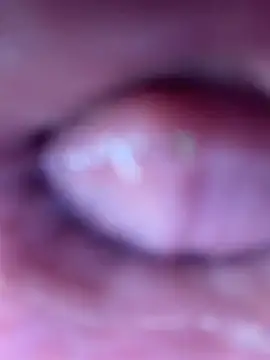 Lola King online show from May 29, 3:59 am