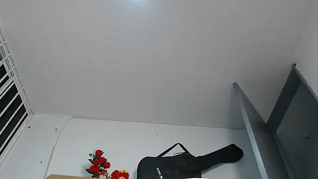 brown halos online show from September 20, 2:21 am