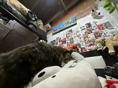 violeta 818 online show from February 26, 4:11 am