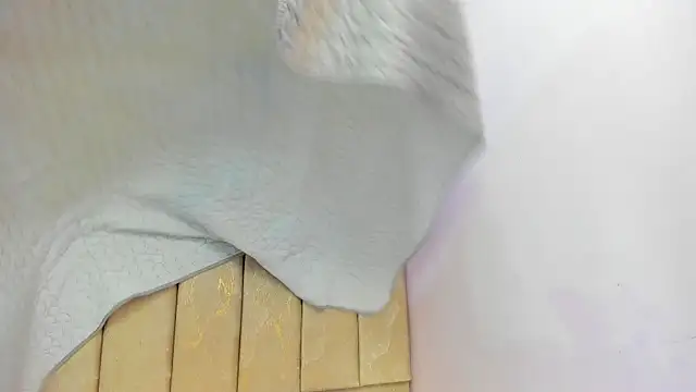 Tiffany mendez online show from July 13, 12:17 pm