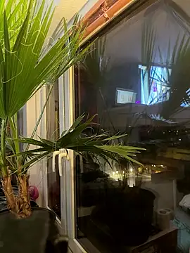 pillepallex84x online show from January 9, 4:55 pm