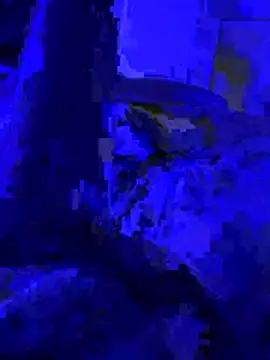 Naylee   online show from July 4, 8:27 pm