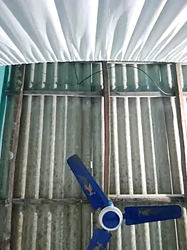 hotbaby 5 online show from November 26, 1:12 pm