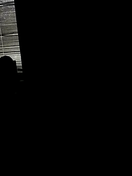 BrigitDani  online show from November 8, 5:23 am