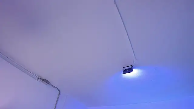 Amy Kiitty  online show from December 4, 1:02 pm