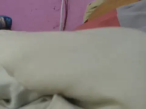 Cheliafun online show from June 29, 1:33 pm