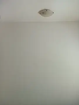 Virgin Pussy Love online show from November 8, 2:00 pm