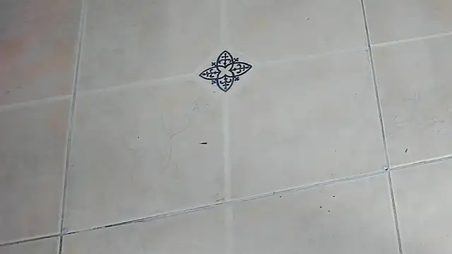 playsgirlhot online show from February 3, 11:15 am