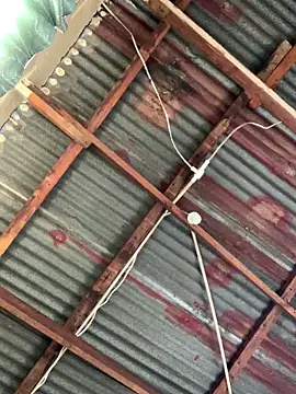 SEXY TOKYOxxx online show from December 15, 5:56 am