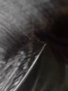 kobita Mohali online show from December 19, 9:45 am