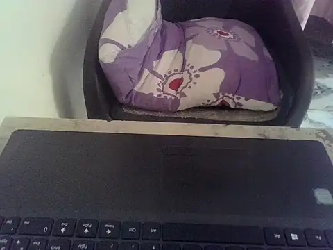 diyayourdil online show from November 22, 7:11 am