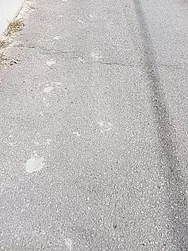 Eleni Pappa online show from March 11, 10:19 am