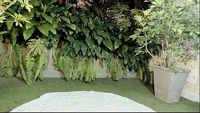 loladupont online show from September 10, 3:06 am