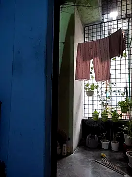 124pakhi online show from March 17, 1:31 am