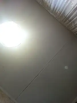 Lauren Amabel online show from December 3, 1:35 pm