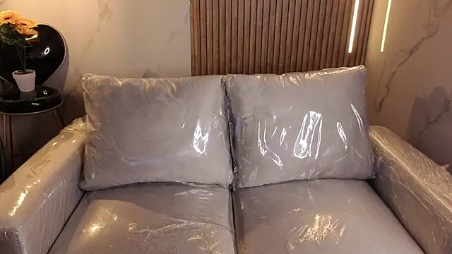 Kitten Cam online show from June 19, 9:24 am