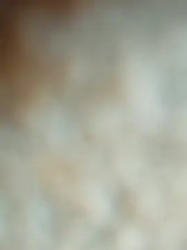 maialani online show from November 16, 9:10 am