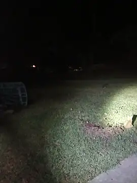 HTXBELLE online show from November 8, 1:43 am