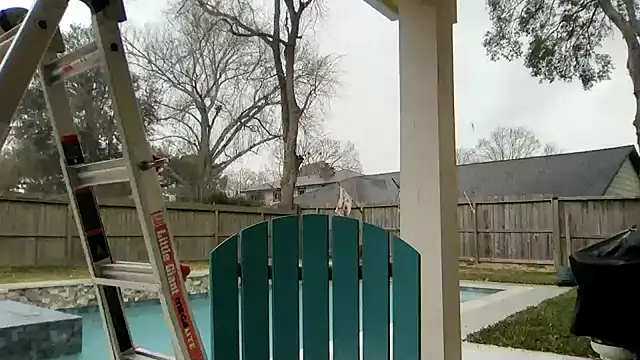 superbearboss online show from February 11, 5:36 pm