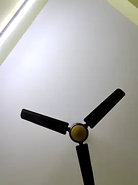 radhika2 online show from December 20, 2:32 pm