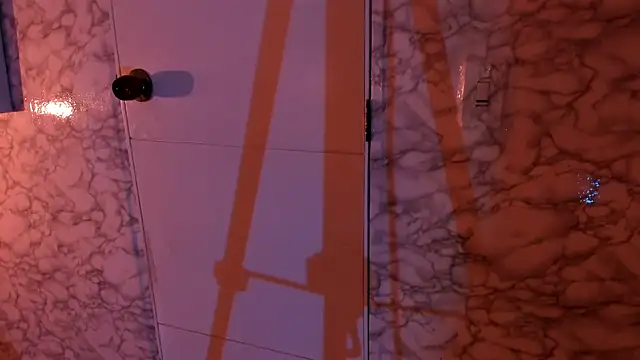 SASHA BROWNIE   online show from July 17, 12:20 pm