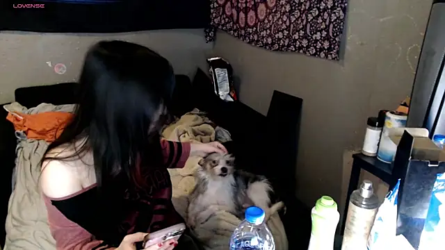 London Ray online show from December 3, 3:20 am