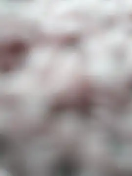 dyjaA online show from September 15, 12:02 pm