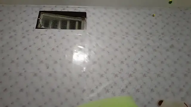 Roselingalvis13 online show from February 9, 3:53 am