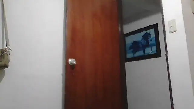 Roselingalvis13 online show from February 20, 3:27 am