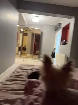 Ofcourseoneday online show from October 6, 7:03 am