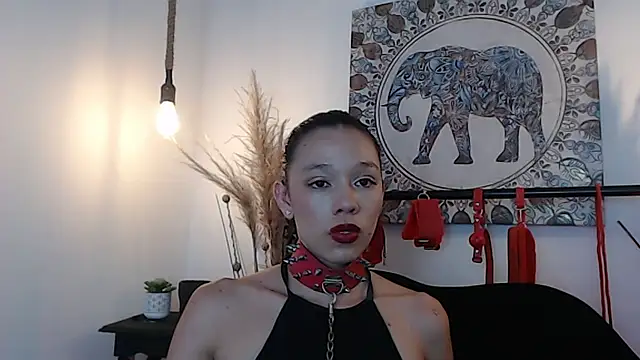 Doll4anall online show from February 27, 8:08 pm