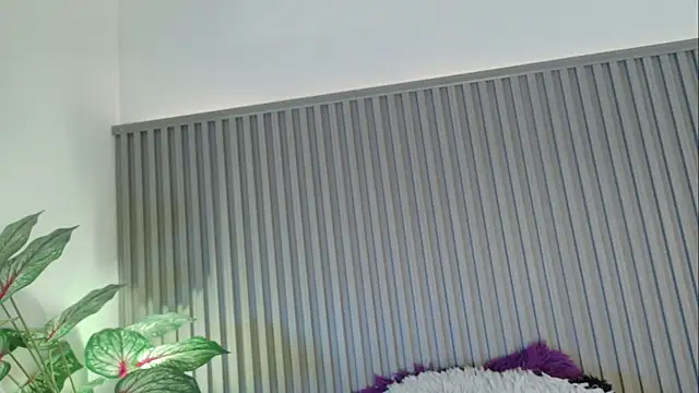 Celeste Presstigge online show from November 24, 11:18 pm