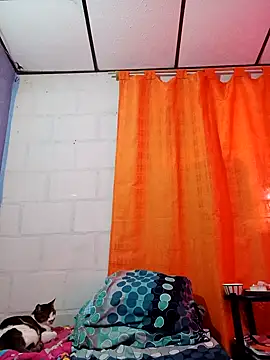 sofi zzz online show from October 3, 8:03 pm