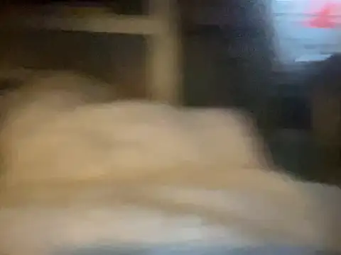 dddasani online show from September 23, 11:30 am