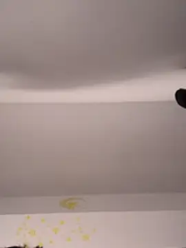 AuraPure online show from November 23, 6:31 pm