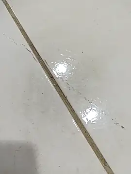 daring lily online show from December 5, 2:00 am