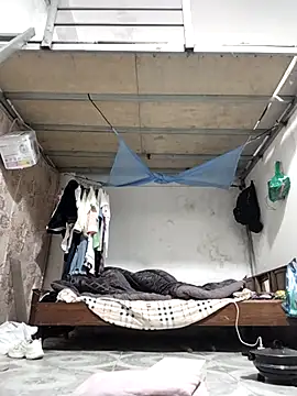 naop04 online show from November 9, 12:16 am