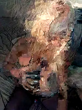 milfevapeccato online show from September 13, 6:43 am