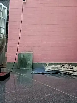 Rose 194 online show from October 26, 2:56 pm