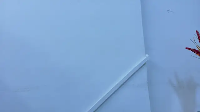 Lizbeth Rouse online show from November 6, 11:27 am