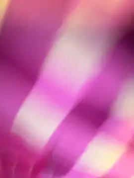 Samcutes online show from November 15, 1:56 pm